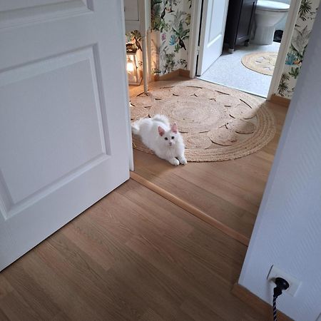 Chambre Climatisee Au Coeur De Brive Avec Televiseur Connecte Wifi Netflix Экстерьер фото
