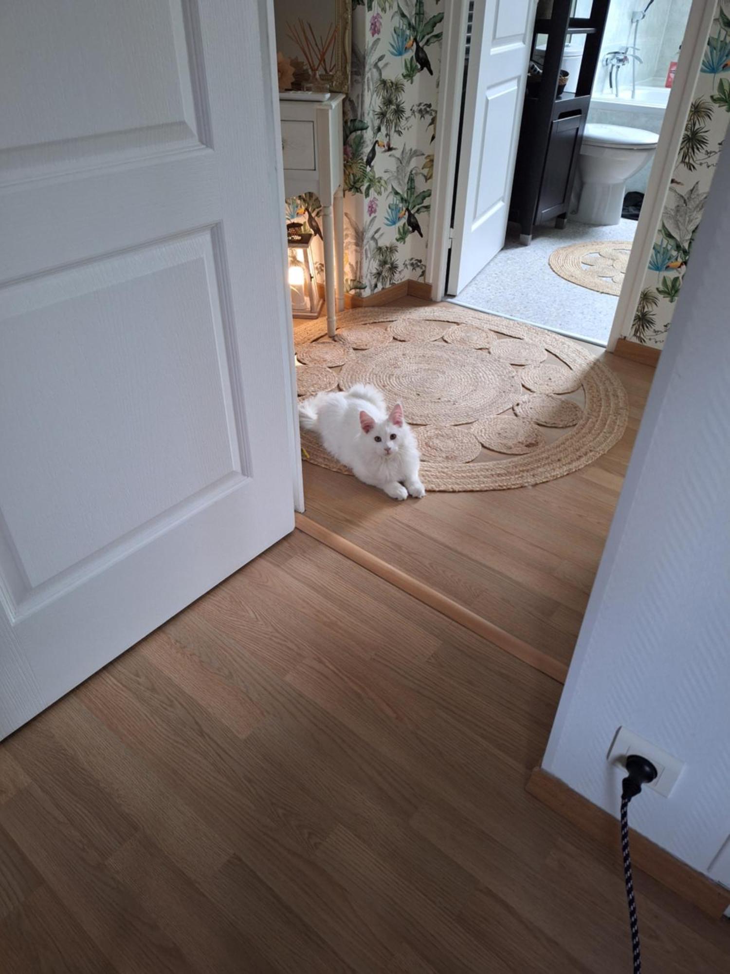 Chambre Climatisee Au Coeur De Brive Avec Televiseur Connecte Wifi Netflix Экстерьер фото